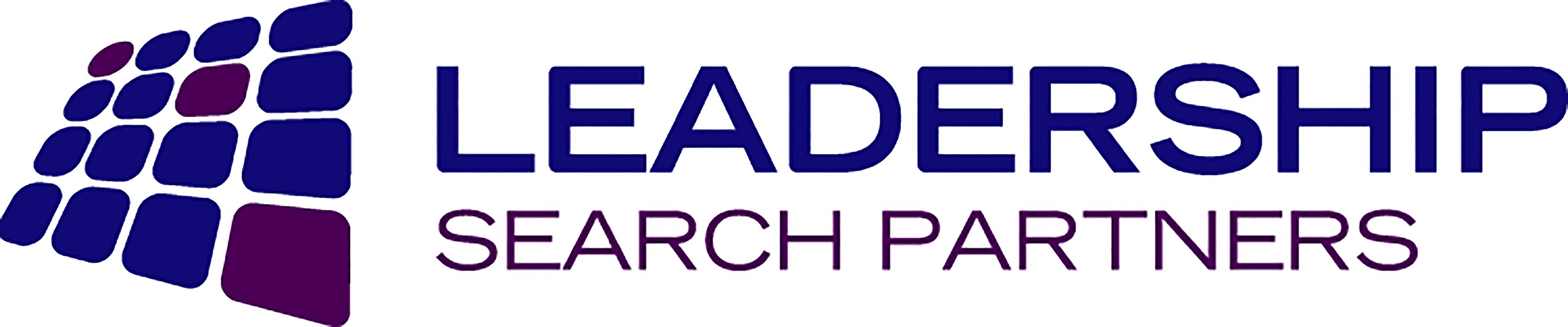 Leadership Search Partners